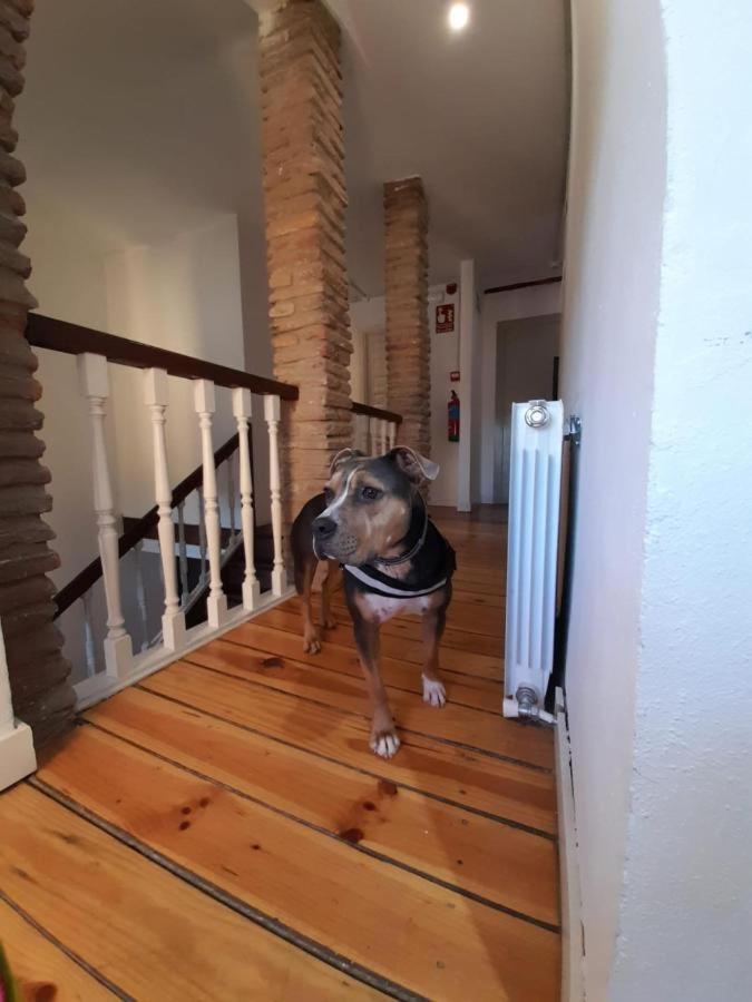 Hosteria Senorio De Bizkaia Bakio Dış mekan fotoğraf